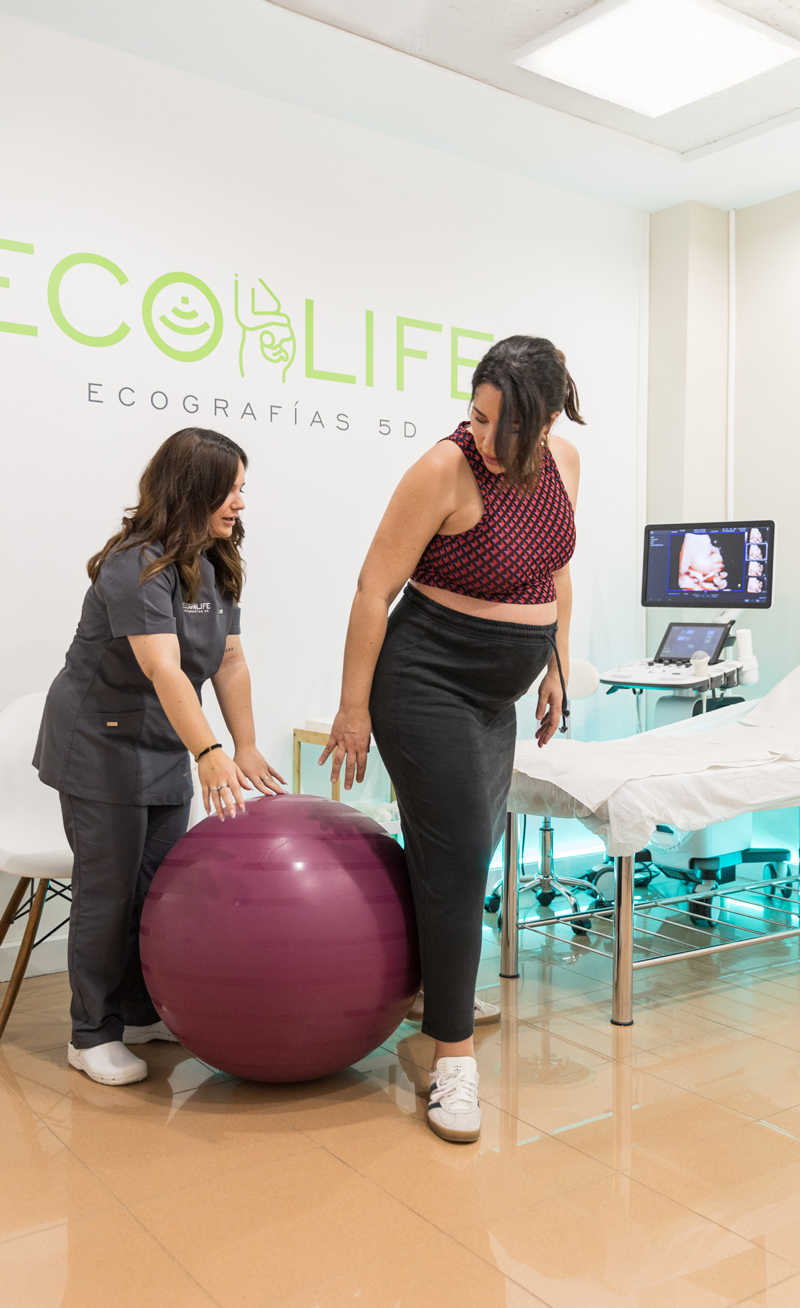 equipo-ecolife-5d